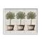 Stupell Industries Young Fruit Trees Charming Baskets Home Sweet Home in White Frame Wall Art